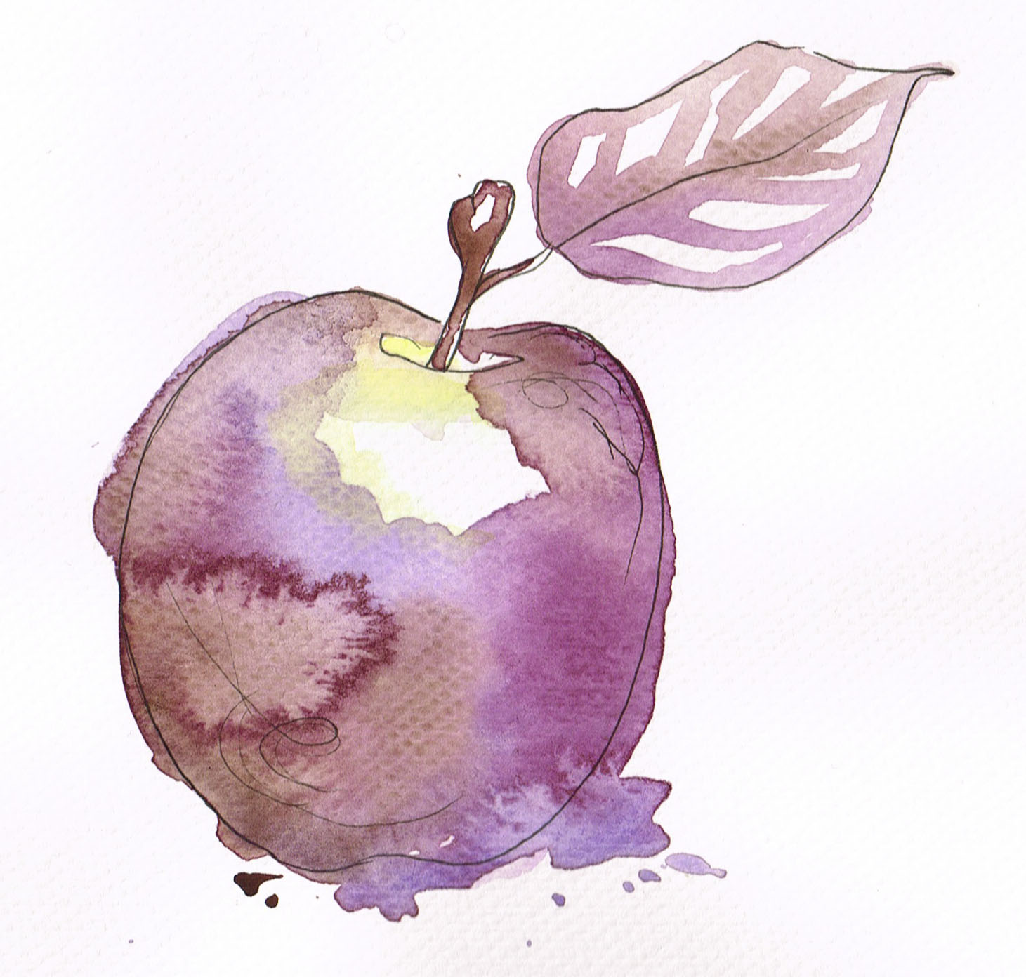 Lilla akvarell eple