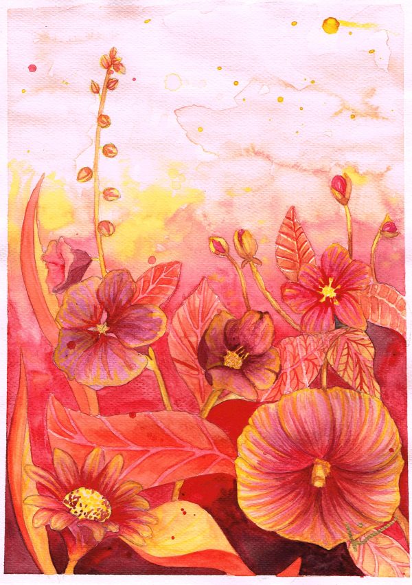 En blomster illustrasjon av akvarell