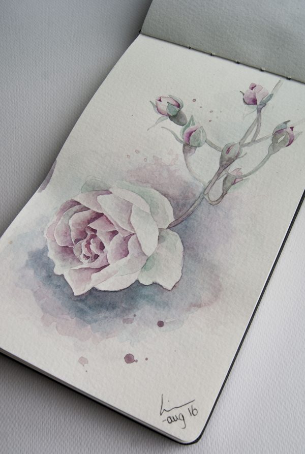 Akvarell skisse av en rose
